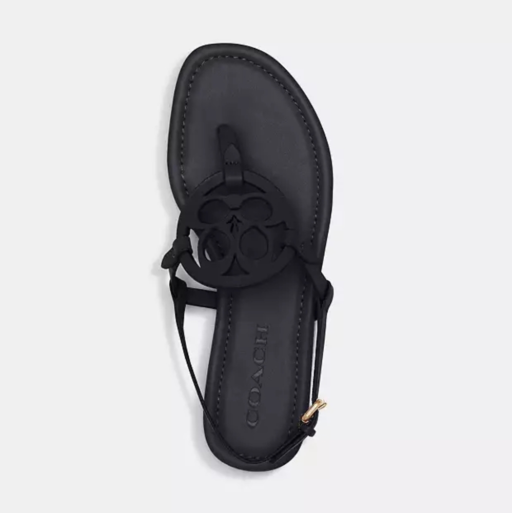 Coach Jaci Sandals - Picture 3 of 14